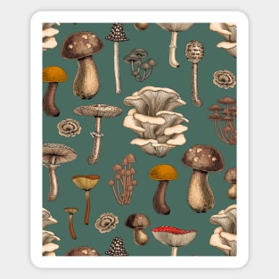 Wild Mushrooms  on pine green Sticker